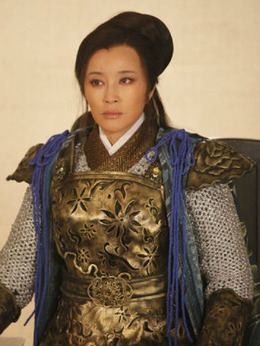 楊門女將之軍令如山劇情介紹_劇情家