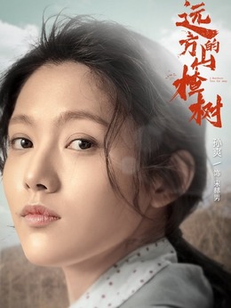 遠(yuǎn)方的山楂樹劇情介紹_劇情家