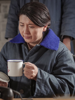 遠方的山楂樹劇情介紹_劇情家