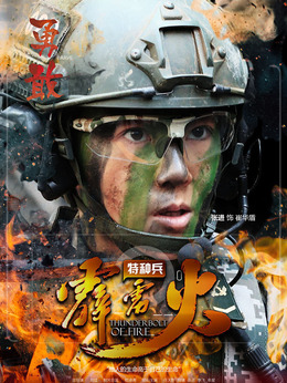 特種兵之霹靂火劇情介紹_劇情家