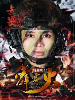 特種兵之霹靂火劇情介紹_劇情家