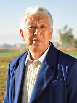 城里城外東北人劇情介紹_劇情家