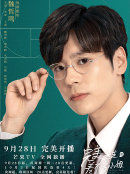 完美先生和差不多小姐劇情介紹_劇情家