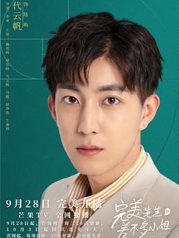 完美先生和差不多小姐劇情介紹_劇情家