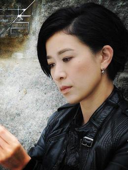 使徒行者劇情介紹_劇情家