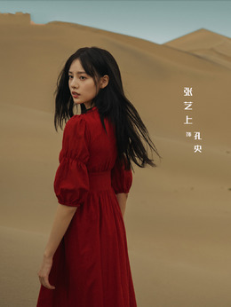 西出玉門劇情介紹_劇情家