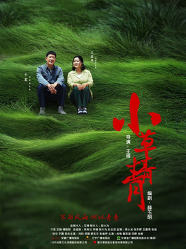 小草青青劇情介紹_劇情家