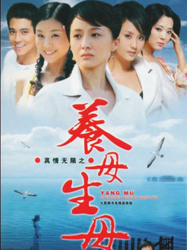 真情無限之養(yǎng)母生母劇情介紹_劇情家