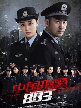 中國刑警803英雄本色劇情介紹_劇情家