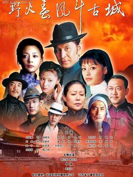 野火春風斗古城劇情介紹_劇情家