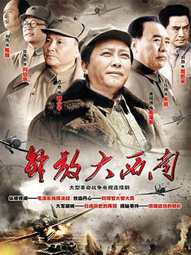 解放大西南劇情介紹_劇情家