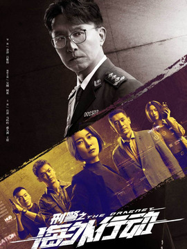刑警之海外行動劇情介紹_劇情家