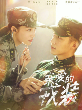 愛上特種兵劇情介紹_劇情家
