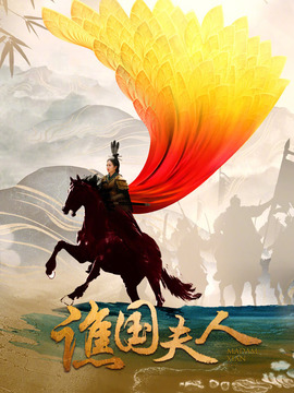 譙國夫人劇情介紹_劇情家