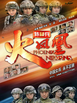 我是特種兵之火鳳凰劇情介紹_劇情家