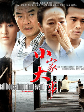 小家大事劇情介紹_劇情家
