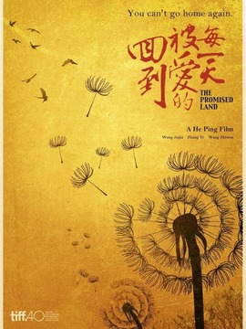 回到被愛的每一天劇情介紹_劇情家