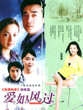 愛如風(fēng)過劇情介紹_劇情家