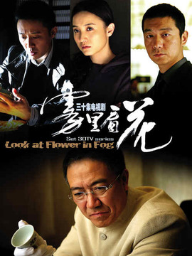 霧里看花劇情介紹_劇情家