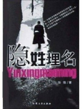 隱姓埋名劇情介紹_劇情家