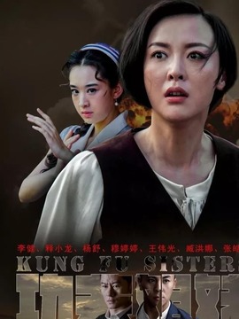 功夫姐妹劇情介紹_劇情家