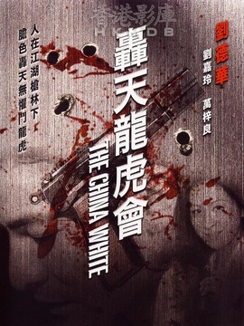 轟天龍虎會(huì)劇情介紹_劇情家