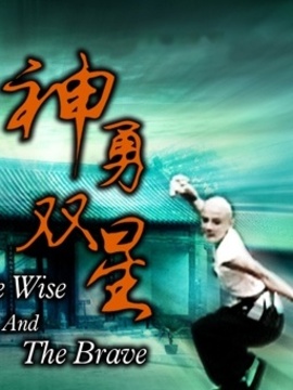 神勇雙星劇情介紹_劇情家