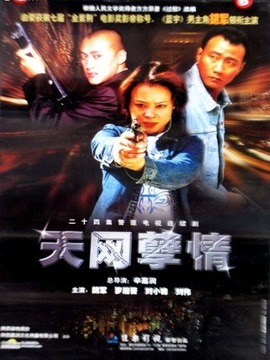 天網(wǎng)孽情劇情介紹_劇情家