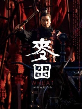 長(zhǎng)平大戰(zhàn)之麥田劇情介紹_劇情家