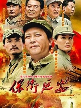 保衛延安劇情介紹_劇情家