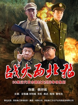 戰火西北狼劇情介紹_劇情家
