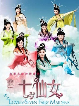 天地姻緣七仙女劇情介紹_劇情家