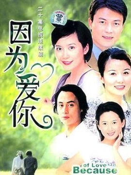 因?yàn)閻?ài)你劇情介紹_劇情家