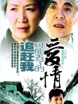 追趕我可能丟了的愛情劇情介紹_劇情家