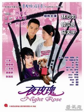 夜玫瑰劇情介紹_劇情家