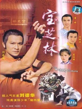 寶芝林劇情介紹_劇情家