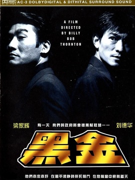 黑金劇情介紹_劇情家