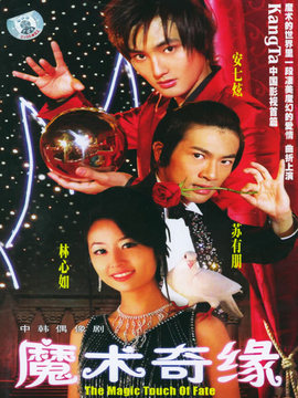 魔術奇緣劇情介紹_劇情家