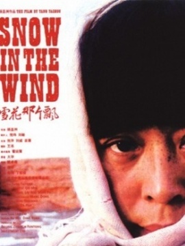 雪花那個飄劇情介紹_劇情家