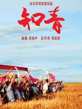 知青劇情介紹_劇情家