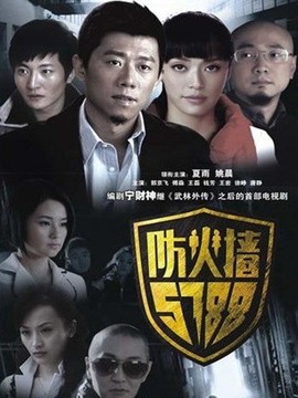 防火墻5788劇情介紹_劇情家