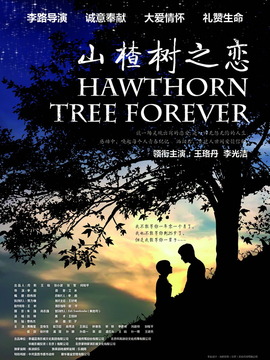 山楂樹之戀劇情介紹_劇情家
