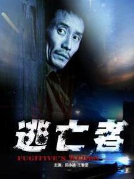 逃亡者劇情介紹_劇情家