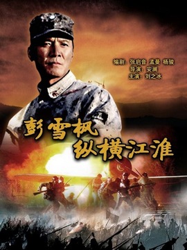 彭雪楓縱橫江淮劇情介紹_劇情家