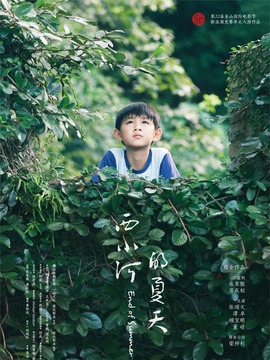 西小河的夏天劇情介紹_劇情家