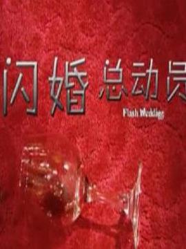 閃婚總動員劇情介紹_劇情家