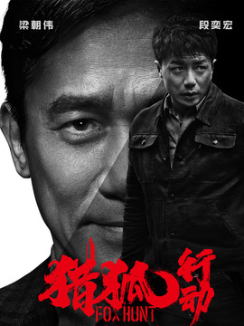 獵狐行動劇情介紹_劇情家