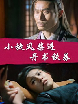小旋風柴進之丹書鐵劵劇情介紹_劇情家