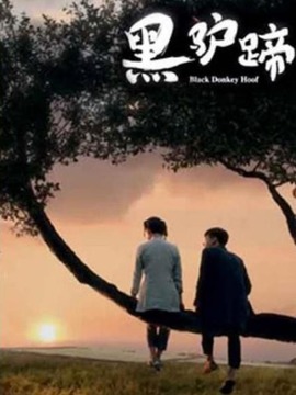 黑驢蹄劇情介紹_劇情家