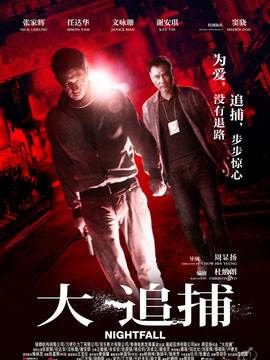 大追捕劇情介紹_劇情家